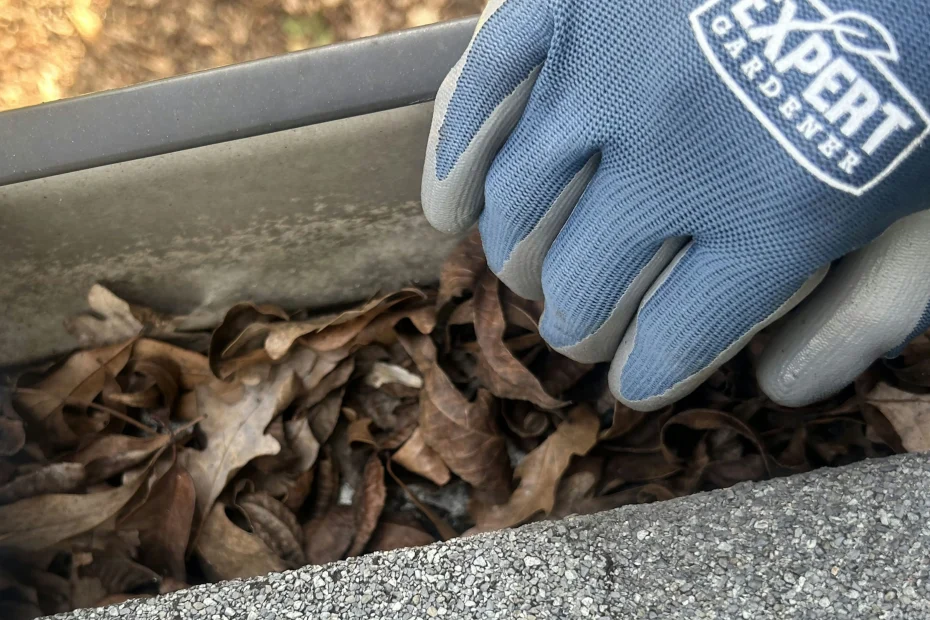 Gutter Cleaning Chelsea