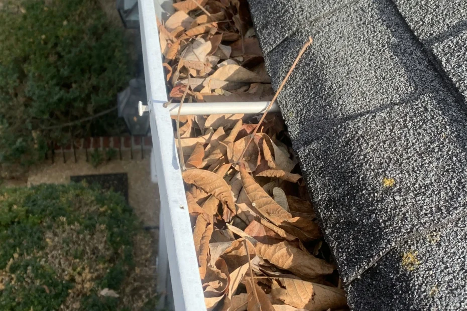 Gutter Cleaning Chelsea